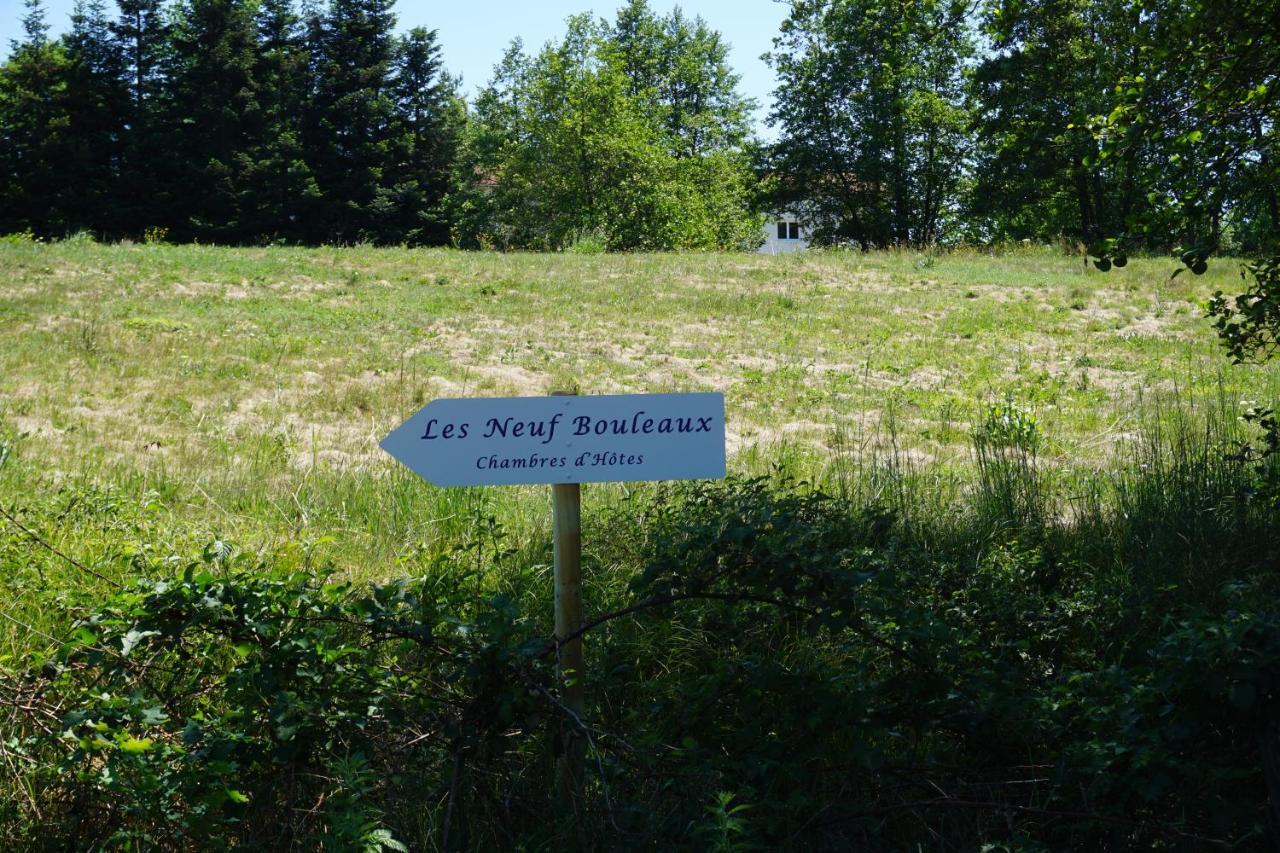 Bed and Breakfast Les Neuf Bouleaux Job Exterior foto